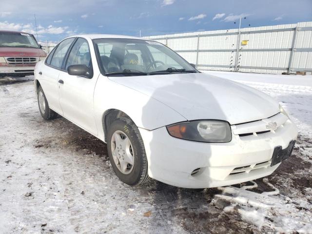 CHEVROLET CAVALIER 2004 with VIN 1G1JC52F447354104 - Photo from auction