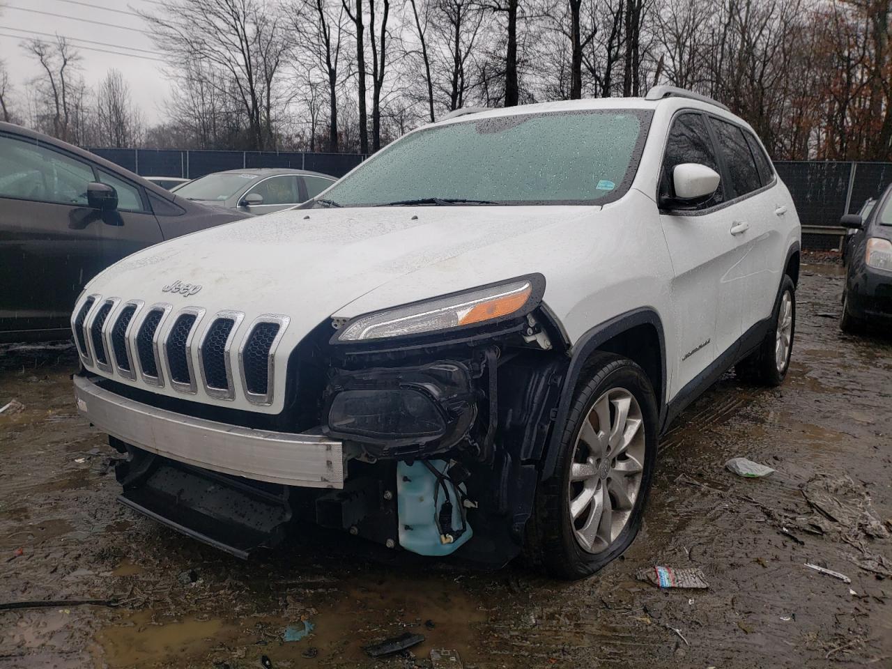 Photo 2 from auction – 2016 JEEP CHEROKEE L with VIN 1C4PJLDB8GW362092