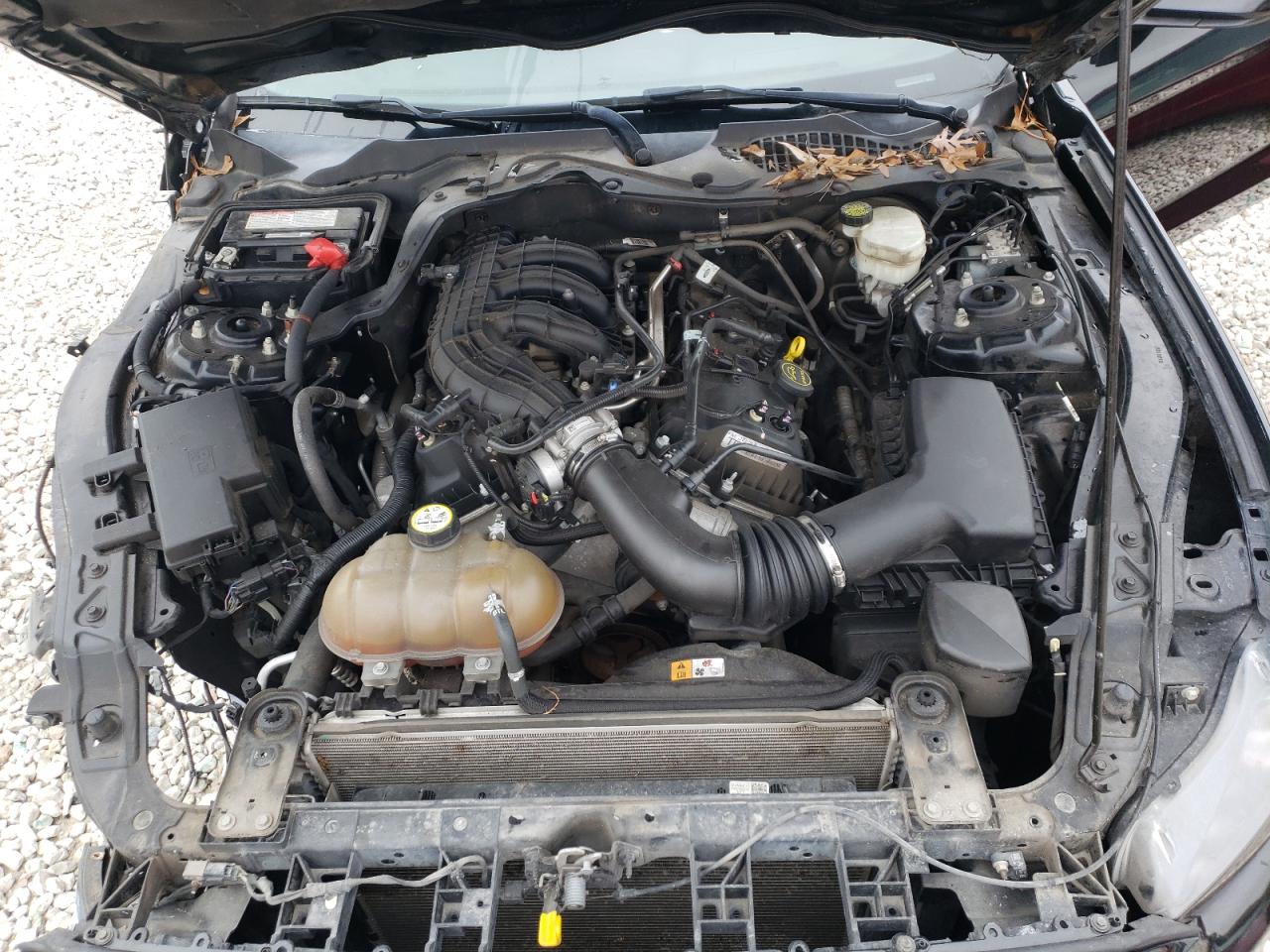 Photo 7 from auction – 2015 FORD MUSTANG with VIN 1FA6P8AM7F5353147