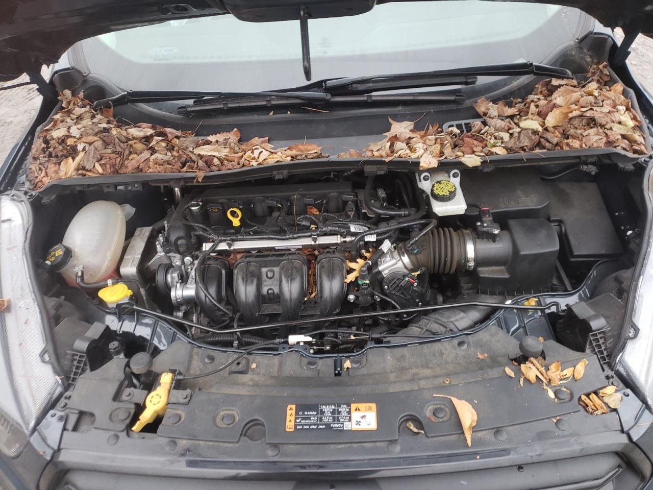 Photo 7 from auction – 2019 FORD ESCAPE S with VIN 1FMCU0F72KUC36212