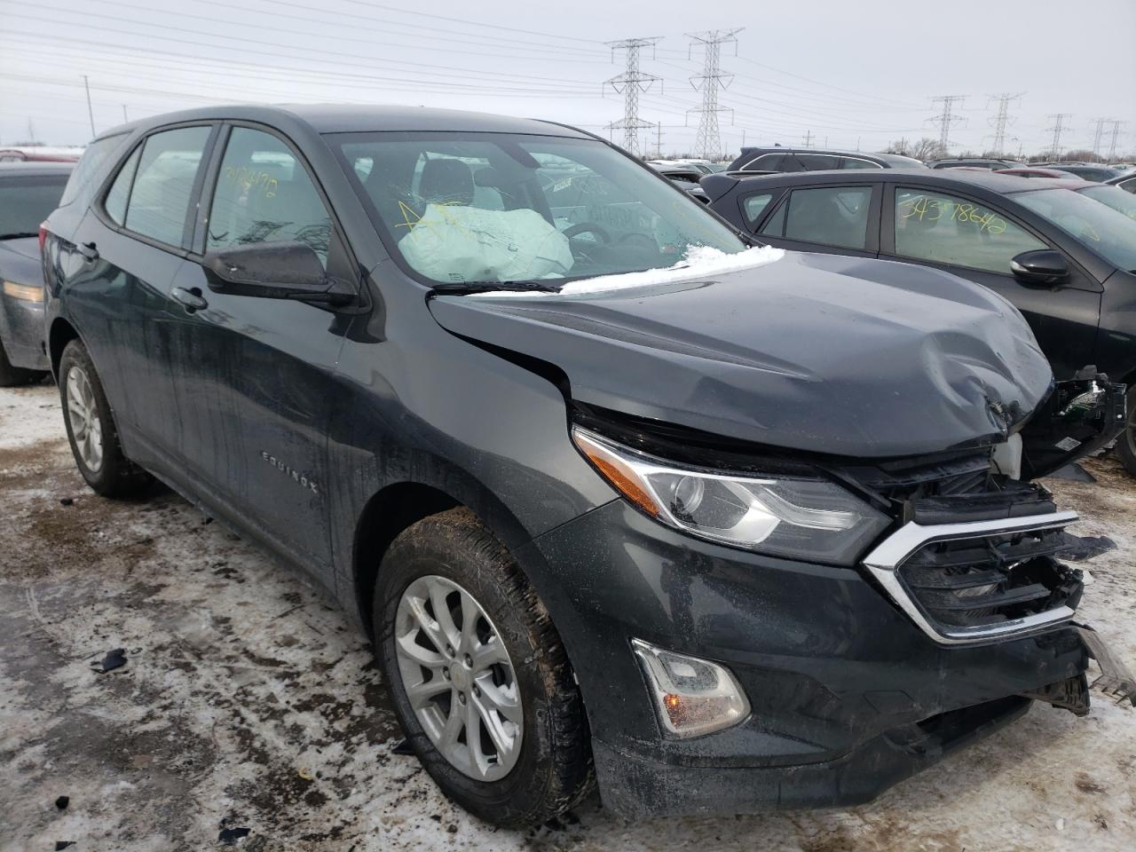 CHEVROLET EQUINOX LS 2019 with VIN 2GNAXSEV4K6167365 - Photo from auction