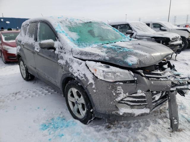 FORD ESCAPE SE 2014 with VIN 1FMCU0GX1EUE24206 - Photo from auction