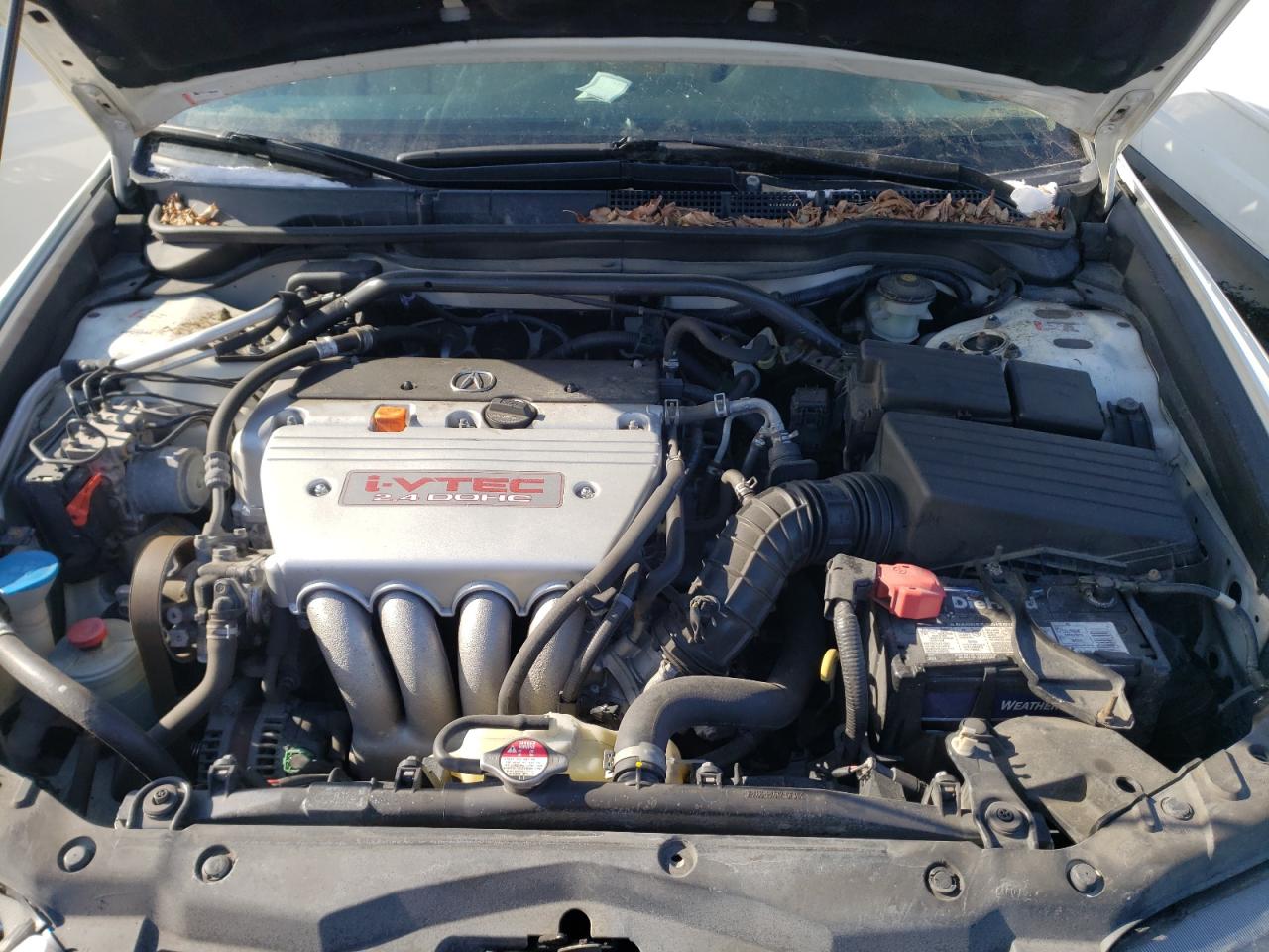 Photo 7 from auction – 2008 ACURA TSX with VIN JH4CL96868C800641