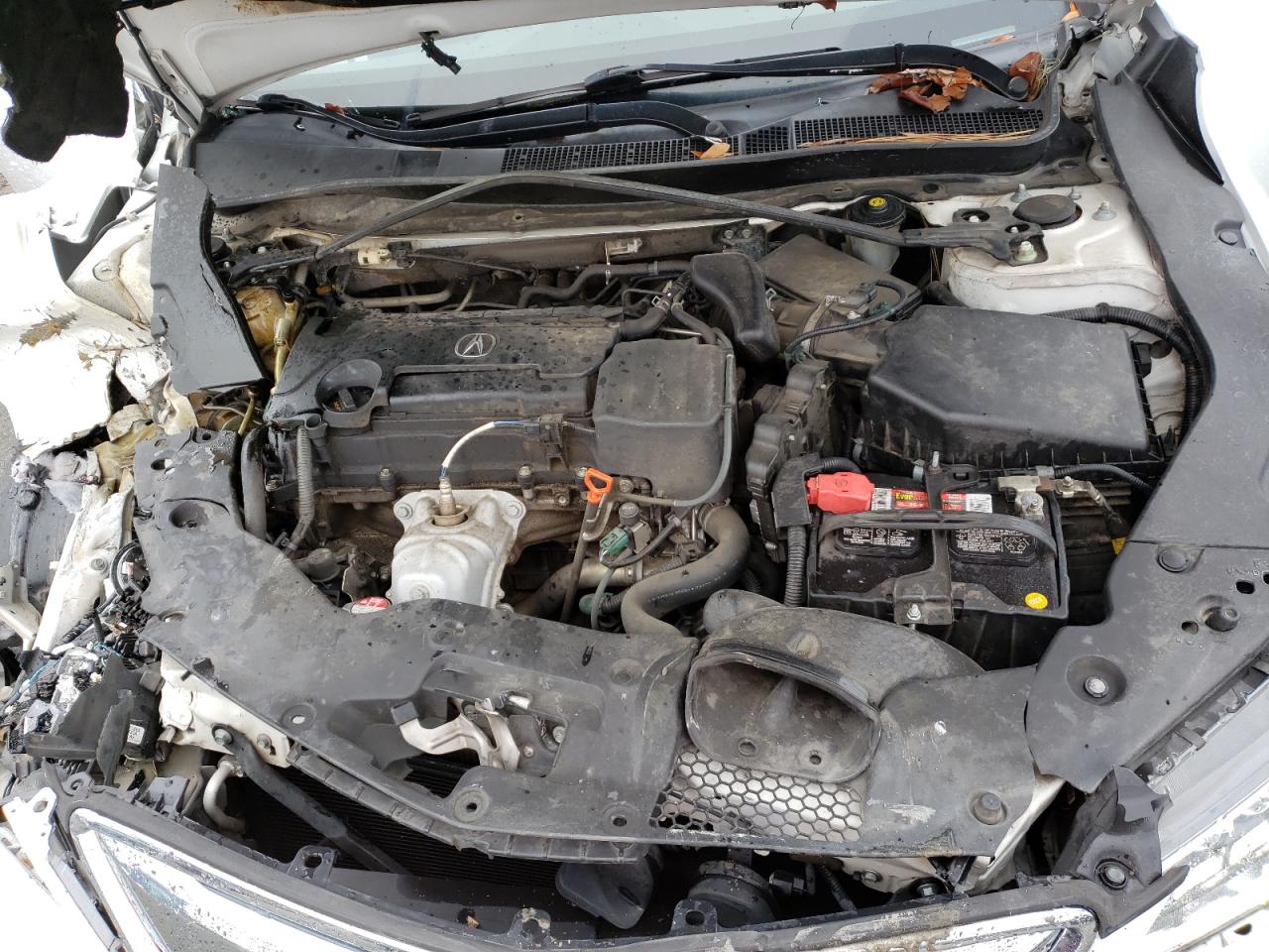 Photo 7 from auction – 2015 ACURA TLX with VIN 19UUB1F33FA027149