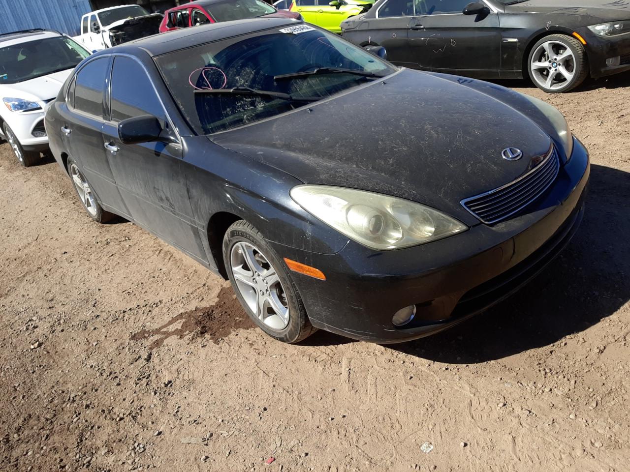 LEXUS ES 330 2006 with VIN JTHBA30GX65161325 - Photo from auction