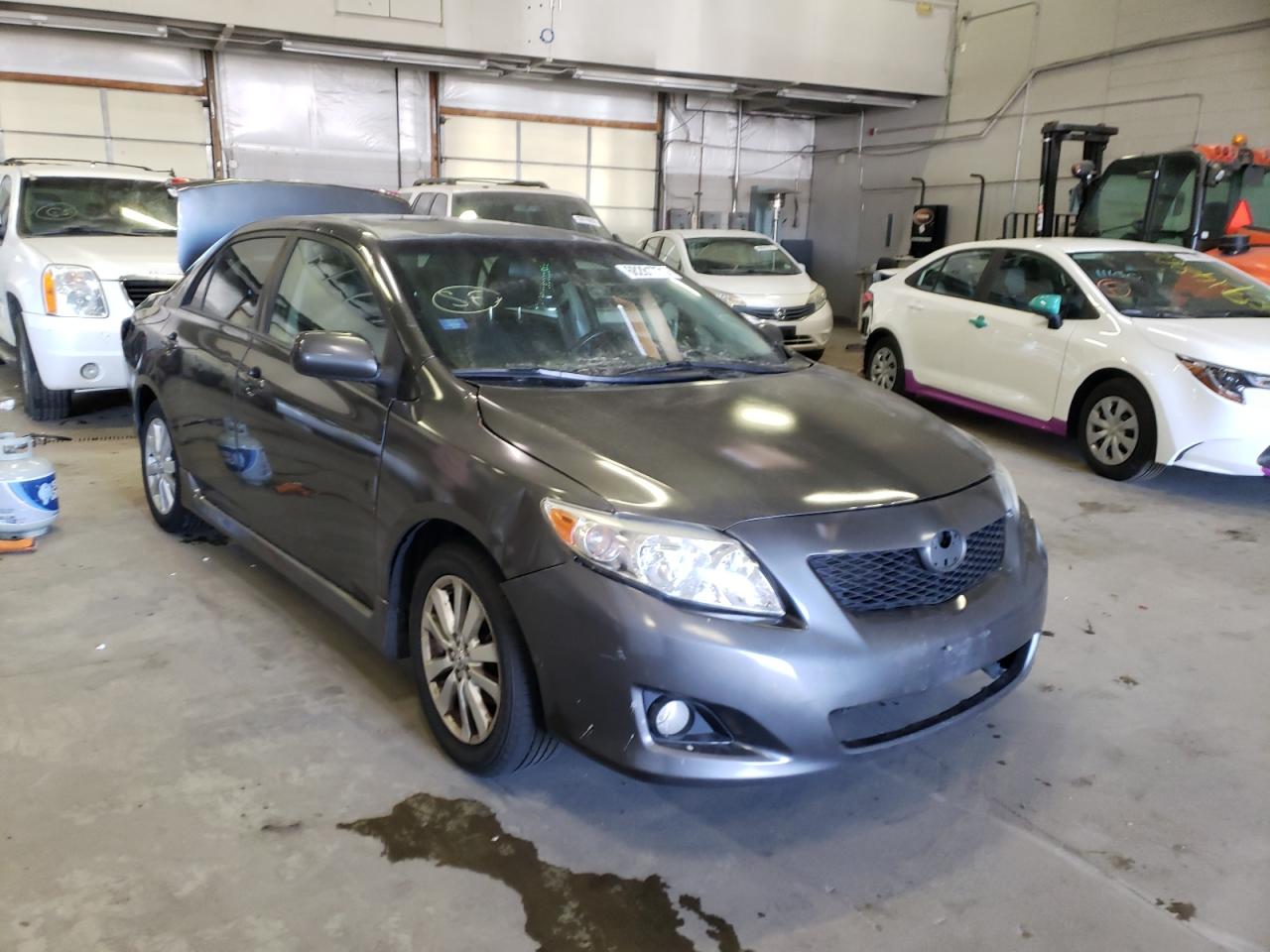 TOYOTA COROLLA BA 2010 with VIN 2T1BU4EE3AC446238 - Photo from auction