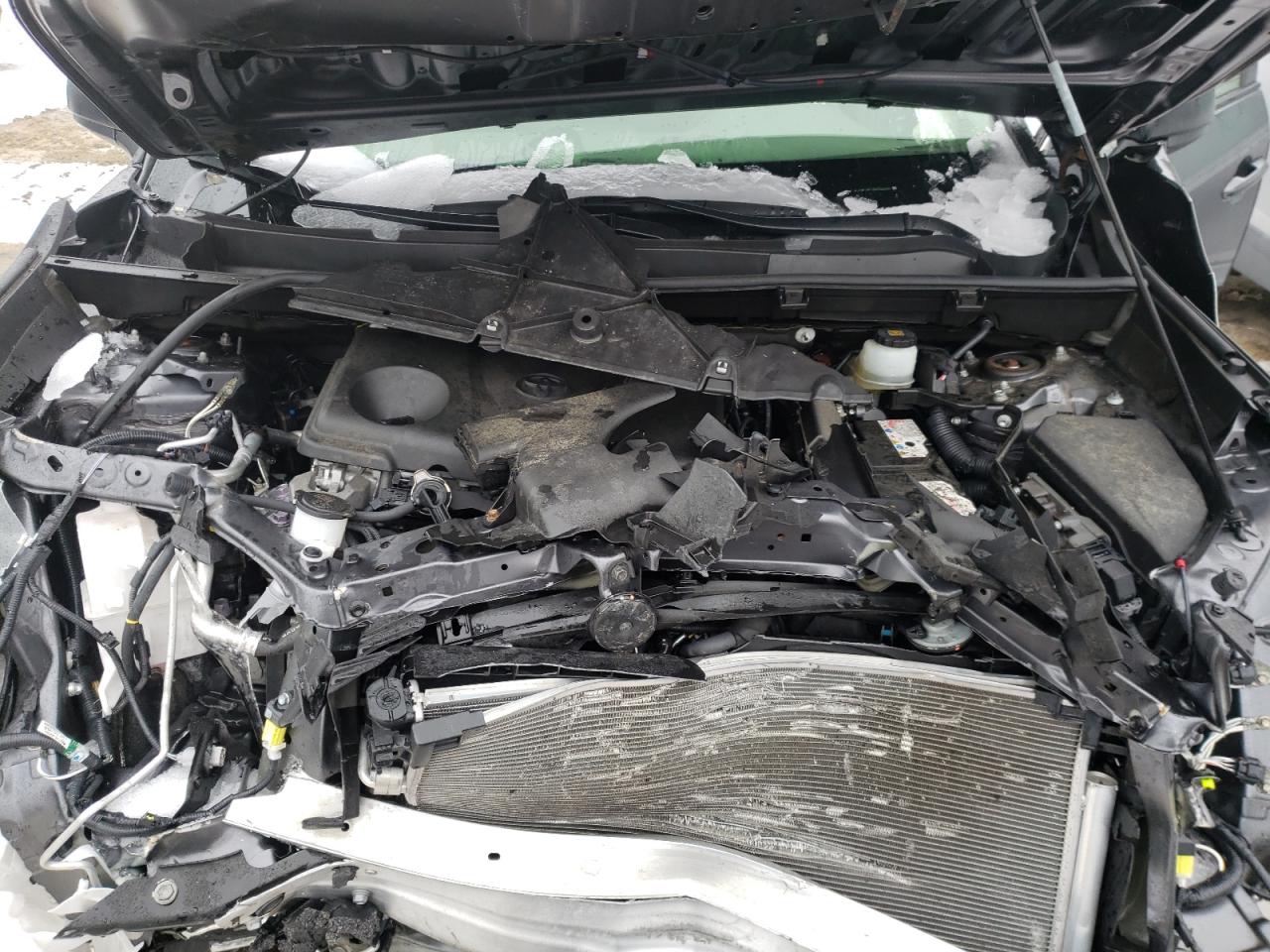 Photo 7 from auction – 2019 TOYOTA RAV4 LE with VIN JTMF1RFV3KD026666