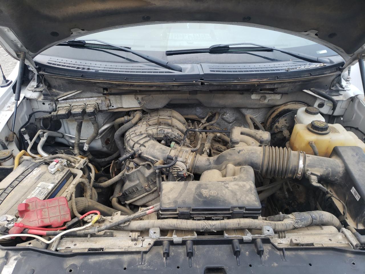 Photo 7 from auction – 2013 FORD F150 with VIN 1FTMF1CM3DKF24533