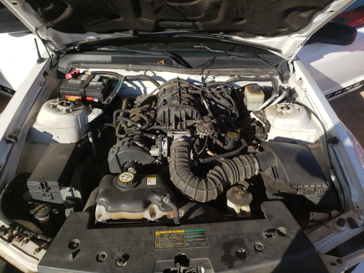 Photo 7 from auction – 2005 FORD MUSTANG with VIN 1ZVFT80N055175237