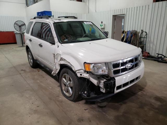 Photo 1 from auction – 2010 FORD ESCAPE XLT with VIN 1FMCU0DG9AKB54135