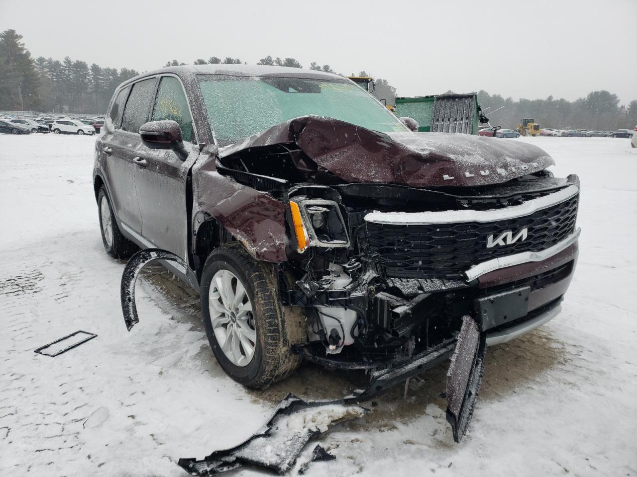 KIA TELLURIDE 2022 with VIN 5XYP2DHC3NG218854 - Photo from auction
