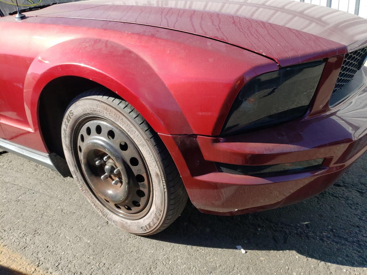 Photo 9 from auction – 2005 FORD MUSTANG with VIN 1ZVFT80N355124914