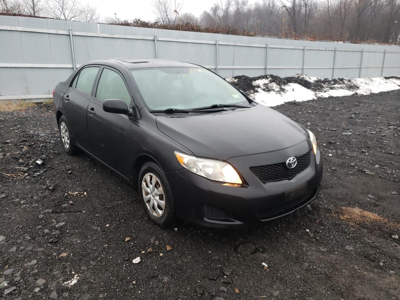 TOYOTA COROLLA 2009 with VIN 2T1BU40EX9C170496 - Photo from auction