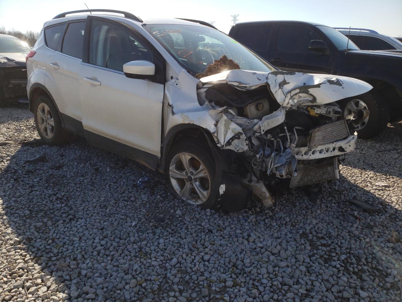 FORD ESCAPE SE 2014 with VIN 1FMCU0GX8EUC57102 - Photo from auction