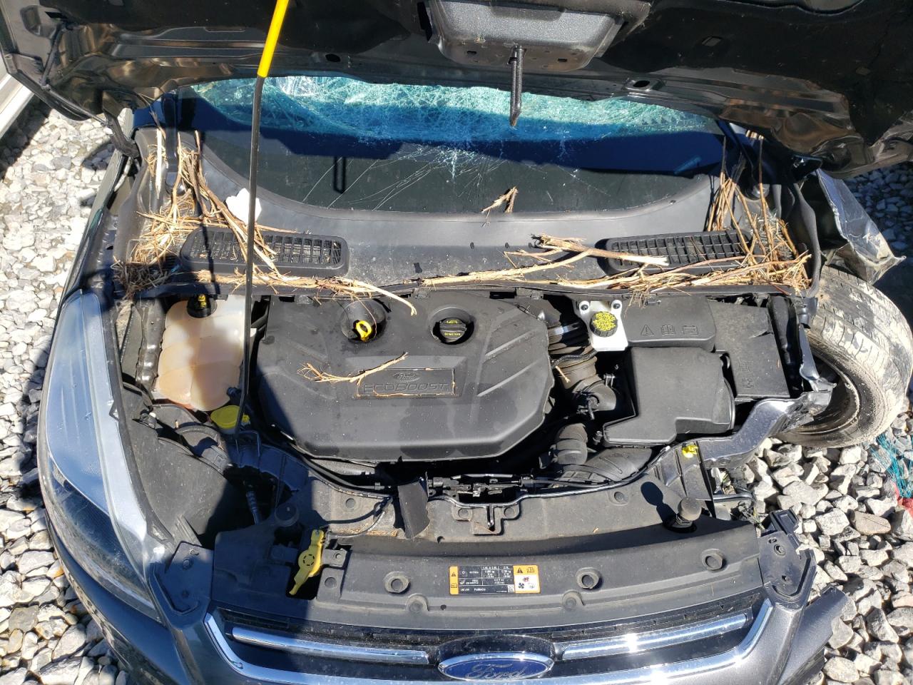 Photo 7 from auction – 2016 FORD ESCAPE TIT with VIN 1FMCU9J98GUC22495