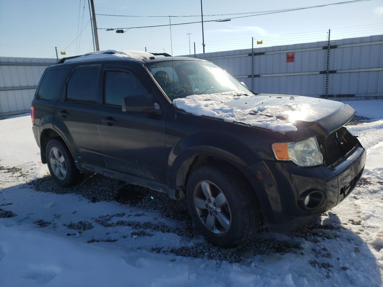 FORD ESCAPE XLT 2009 with VIN 1FMCU03739KA16524 - Photo from auction