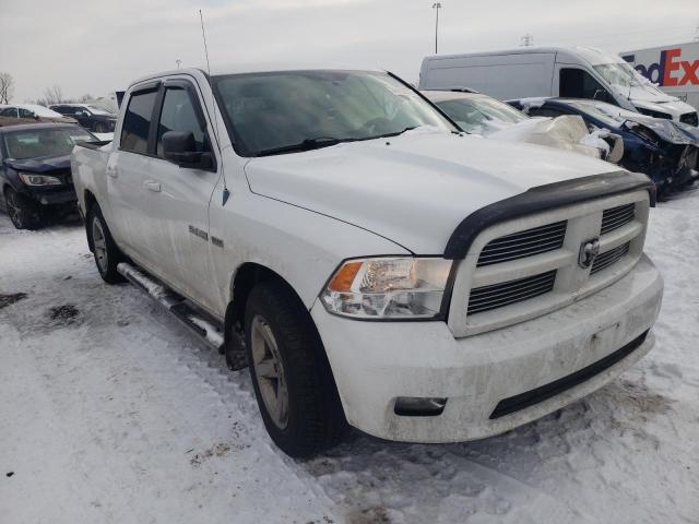 DODGE RAM 1500 2010 with VIN 1D7RV1CT0AS174246 - Photo from auction