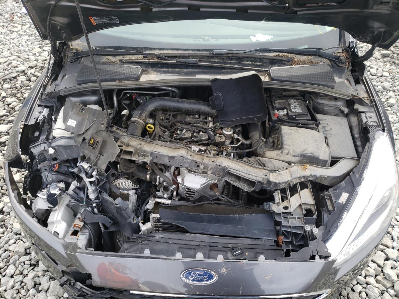 Photo 7 from auction – 2016 FORD FOCUS SE with VIN 1FADP3FE9GL355328