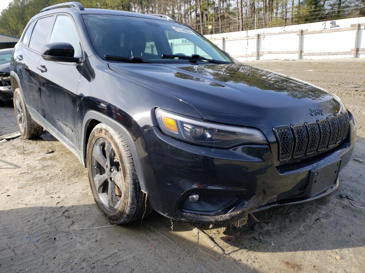 JEEP CHEROKEE L 2019 with VIN 1C4PJLLB3KD474191 - Photo from auction