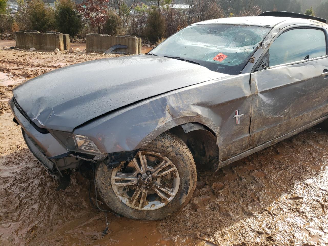 Photo 9 from auction – 2014 FORD MUSTANG with VIN 1ZVBP8AM4E5300006