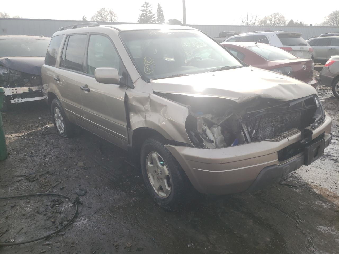 HONDA PILOT EXL 2005 with VIN 5FNYF18535B059785 - Photo from auction