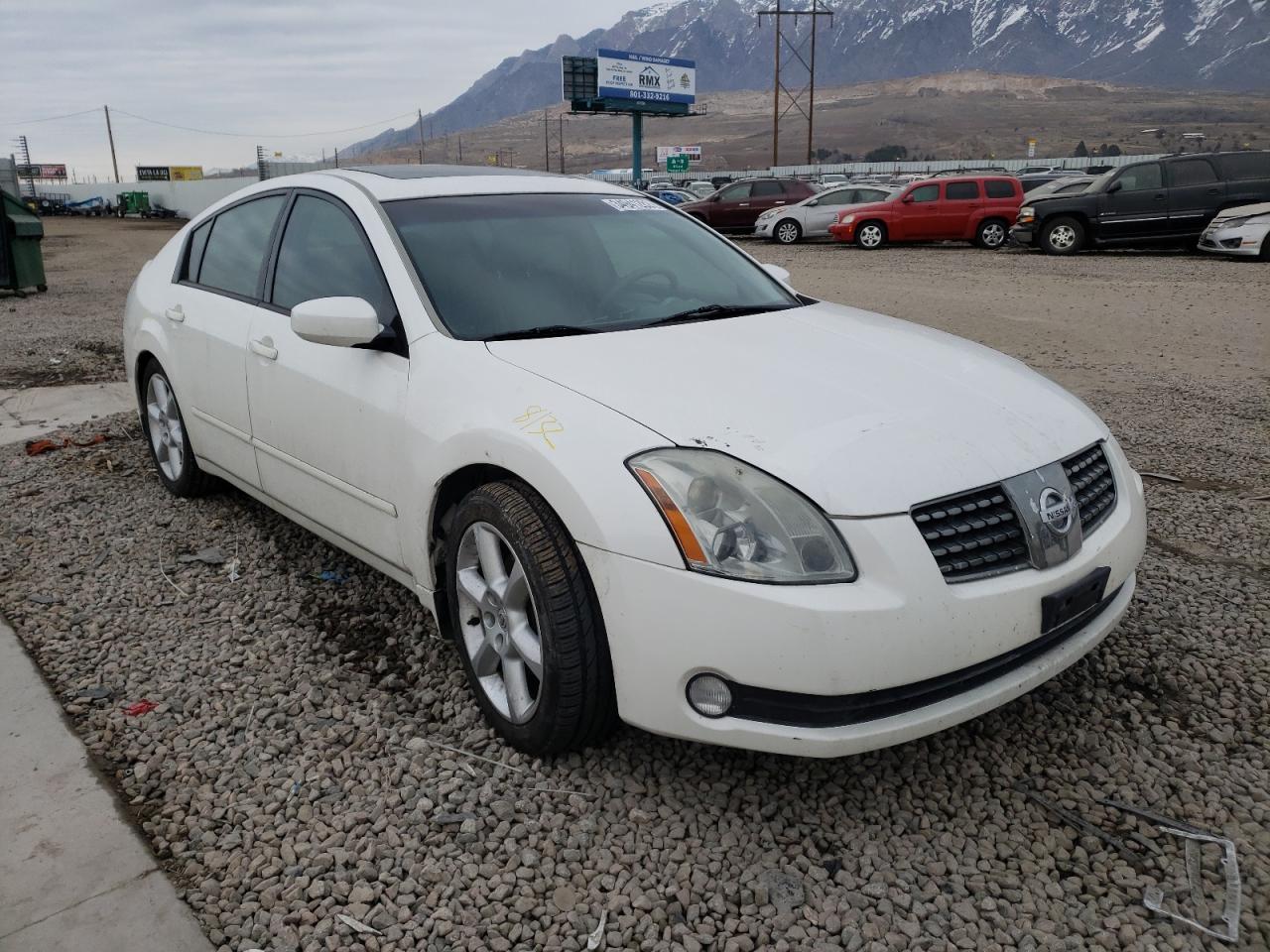NISSAN MAXIMA SE 2004 with VIN 1N4BA41E84C896310 - Photo from auction