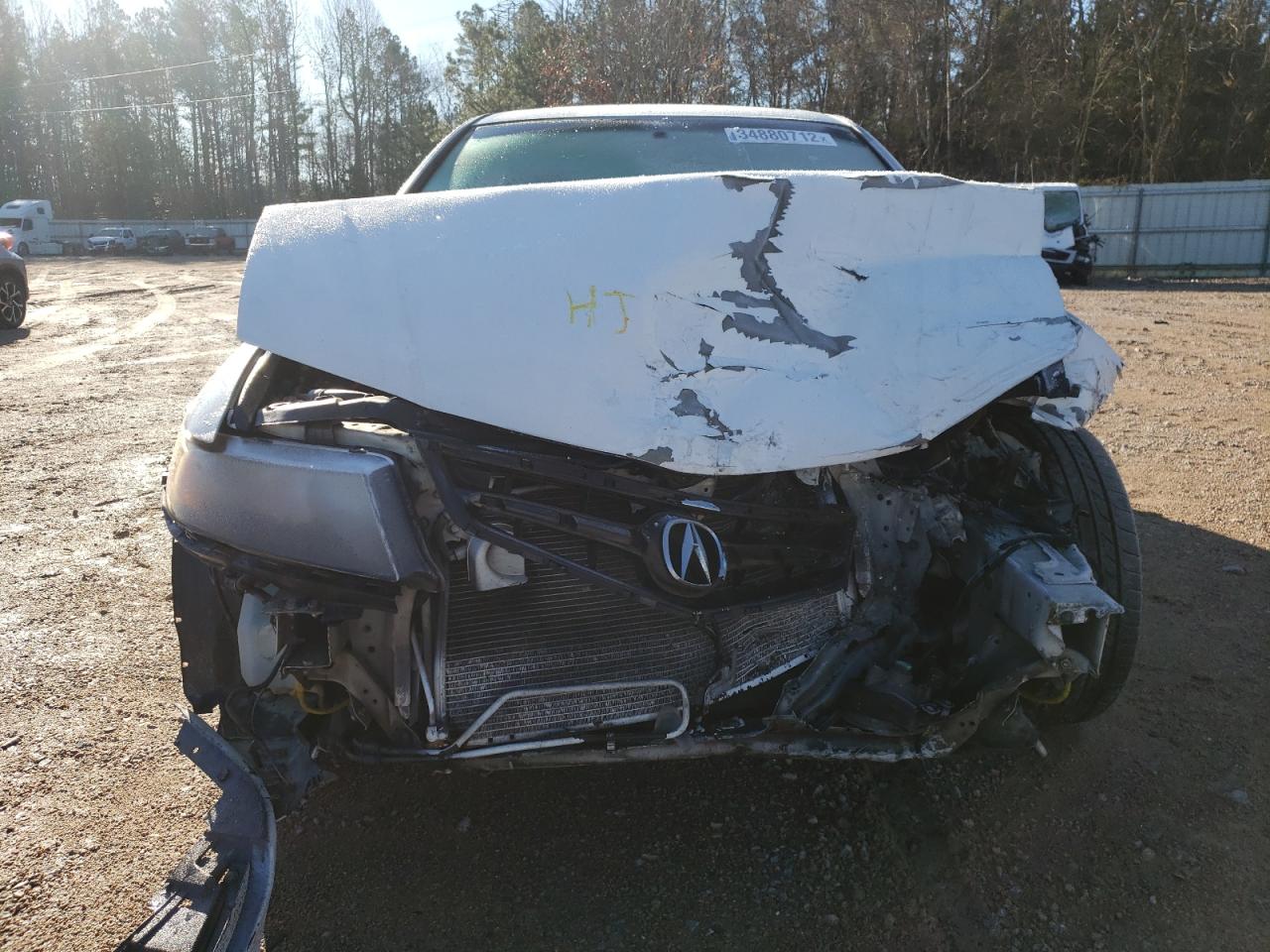 Photo 9 from auction – 2008 ACURA TSX with VIN JH4CL96878C021295