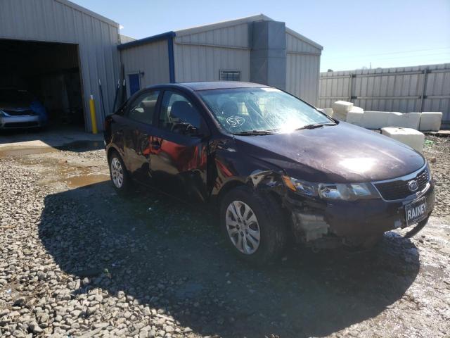 KIA FORTE EX 2011 with VIN KNAFU4A27B5325186 - Photo from auction
