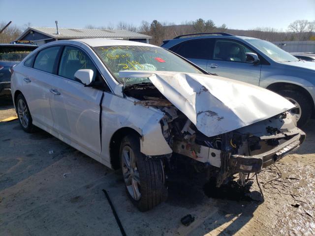 HYUNDAI SONATA LIM 2019 with VIN 5NPE34AF6KH787288 - Photo from auction