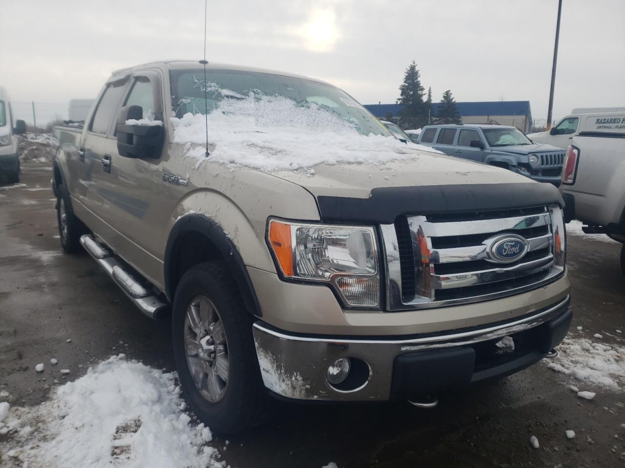 FORD F150 SUPER 2009 with VIN 1FTRW14899FB07893 - Photo from auction
