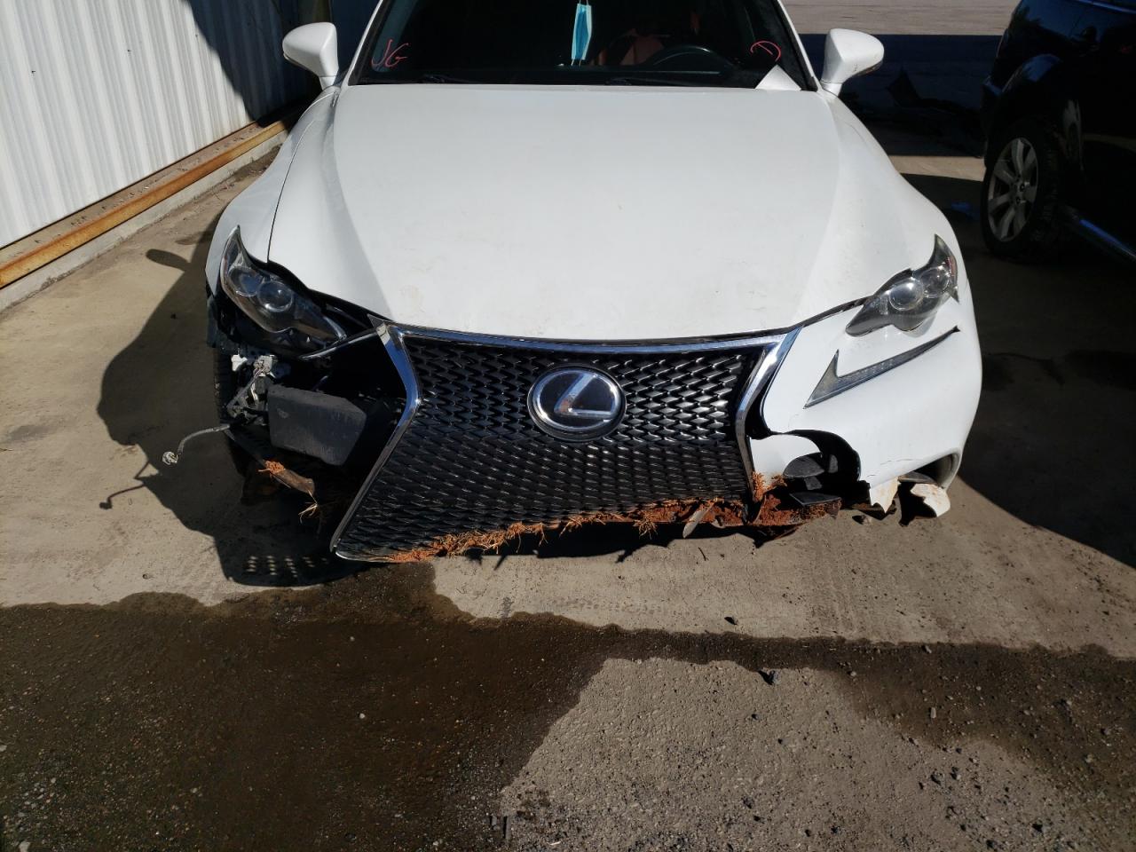 Photo 9 from auction – 2014 LEXUS IS 250 with VIN JTHBF1D25E5042195