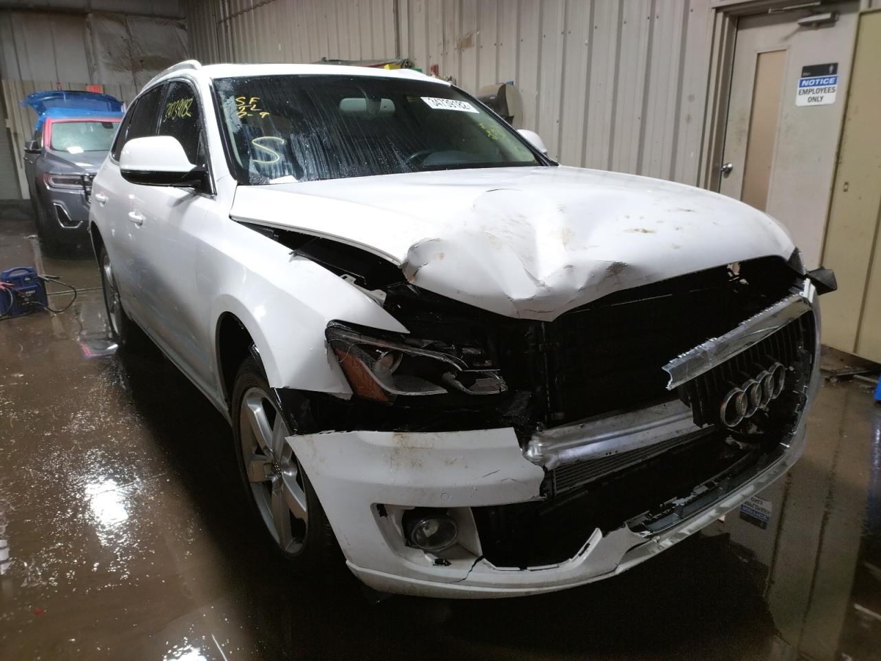 AUDI Q5 3.2 2009 with VIN WA1KK78RX9A009370 - Photo from auction