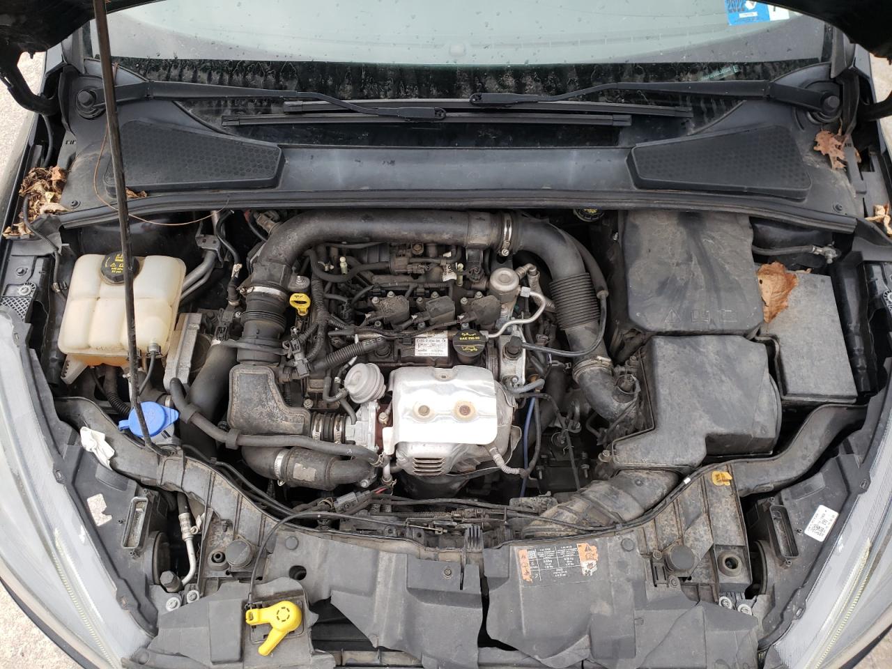 Photo 7 from auction – 2016 FORD FOCUS SE with VIN 1FADP3FE6GL387220