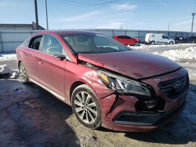 HYUNDAI SONATA SPO 2016 with VIN 5NPE34AF0GH410561 - Photo from auction