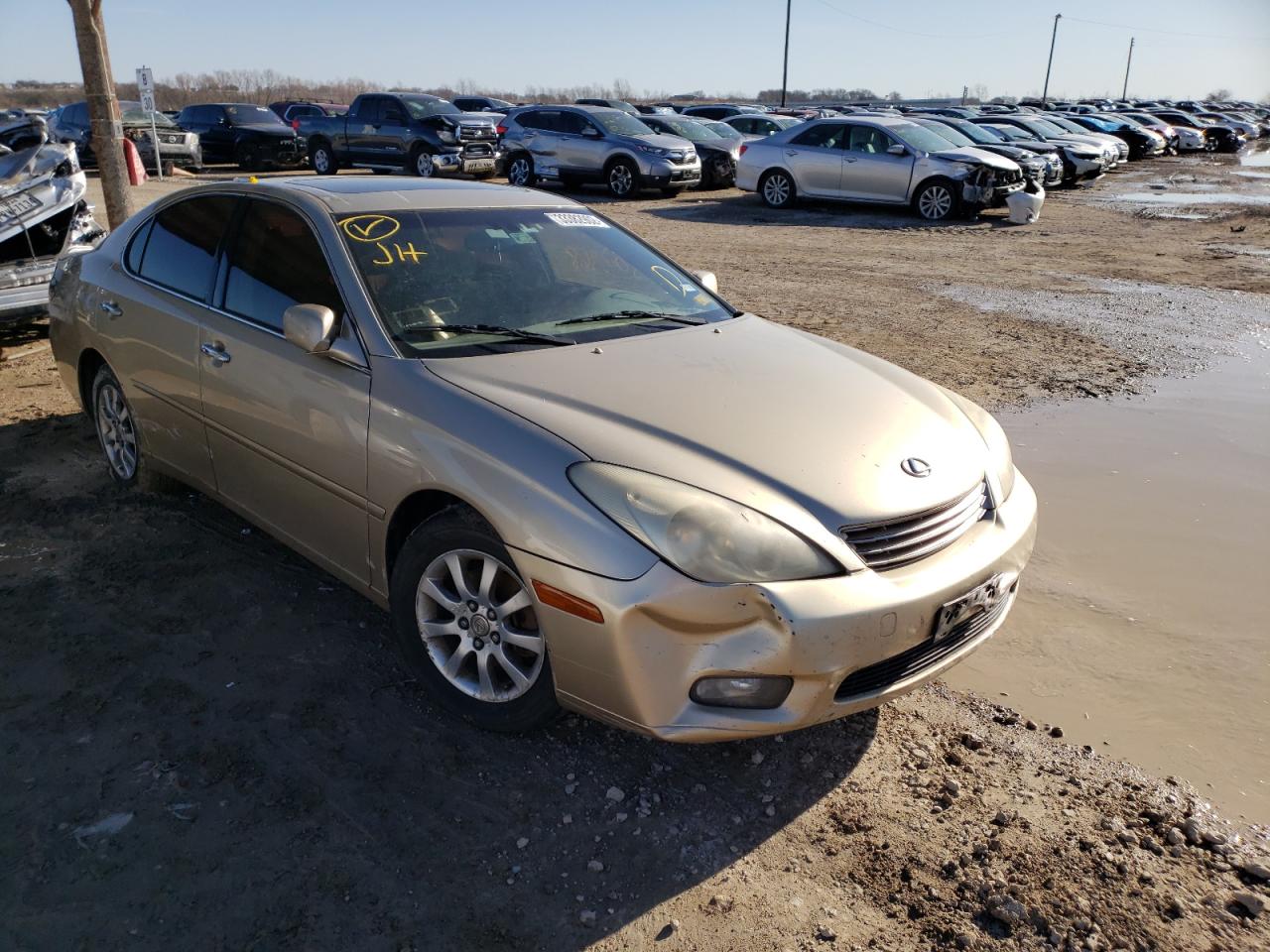 LEXUS ES 330 2004 with VIN JTHBA30G440003573 - Photo from auction