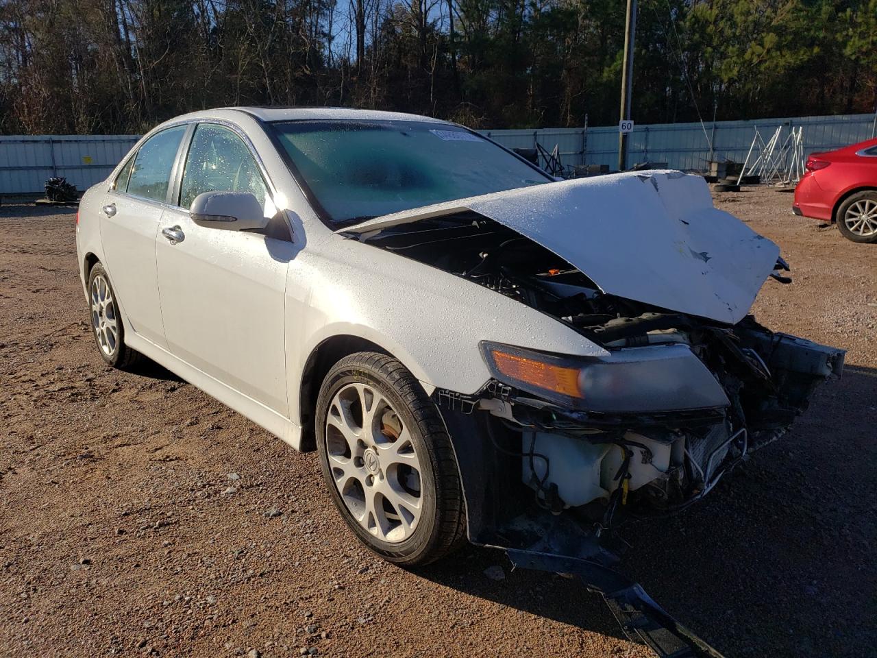 ACURA TSX 2008 with VIN JH4CL96878C021295 - Photo from auction