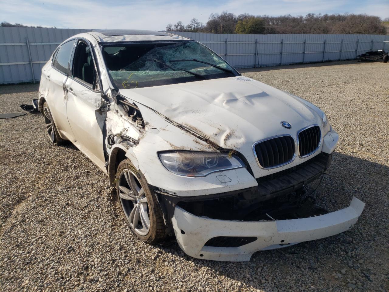 BMW X6 M 2014 with VIN 5YMGZ0C59E0C40578 - Photo from auction