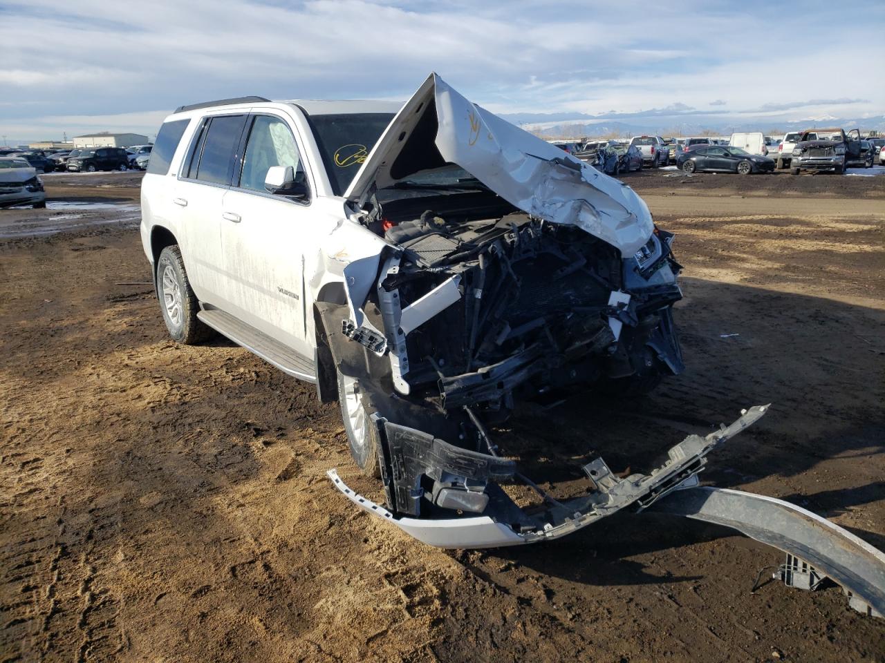 GMC YUKON SLT 2016 with VIN 1GKS2BKC1GR273576 - Photo from auction