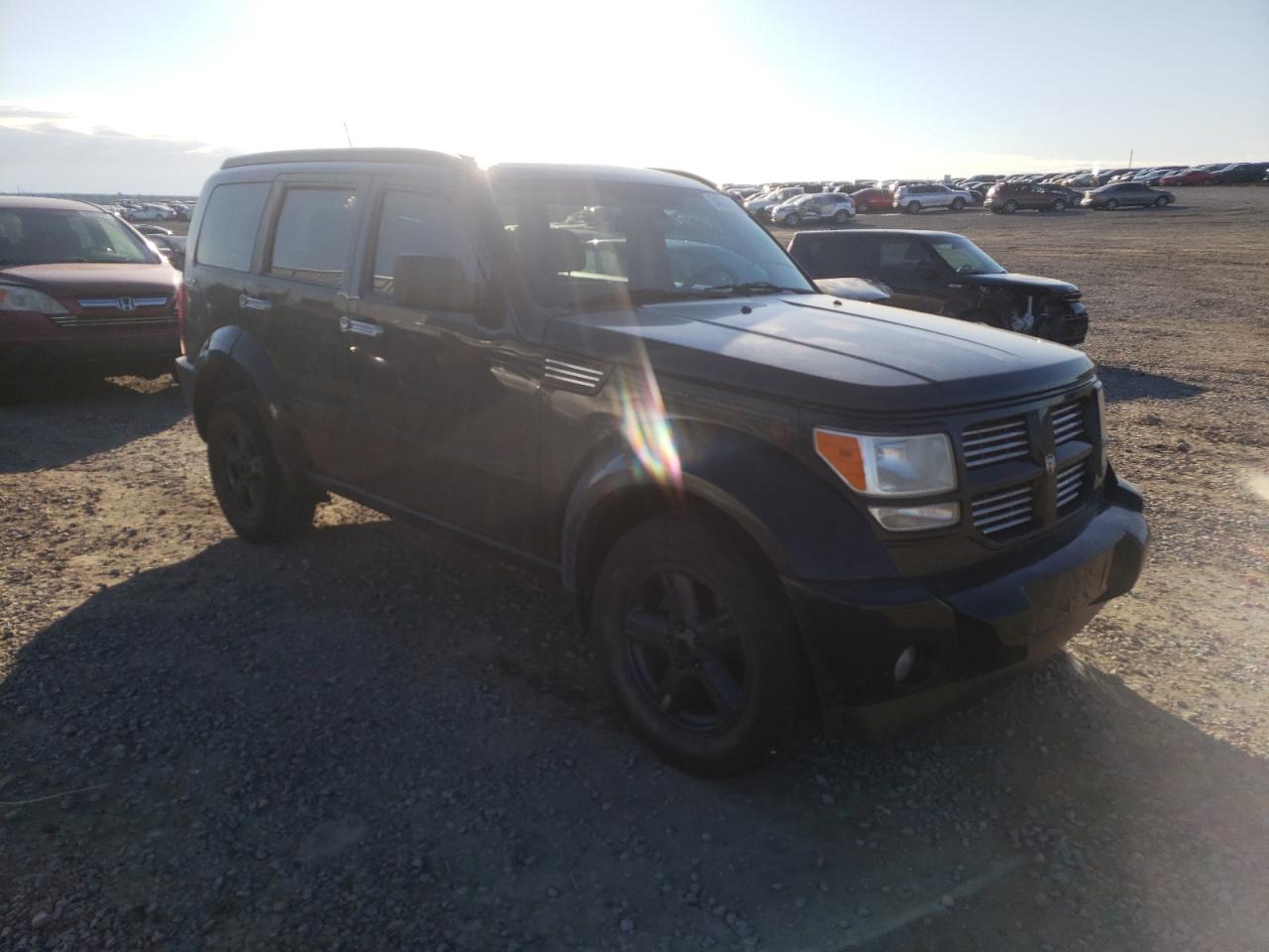 DODGE NITRO SXT 2010 with VIN 1D4PU5GK1AW137571 - Photo from auction