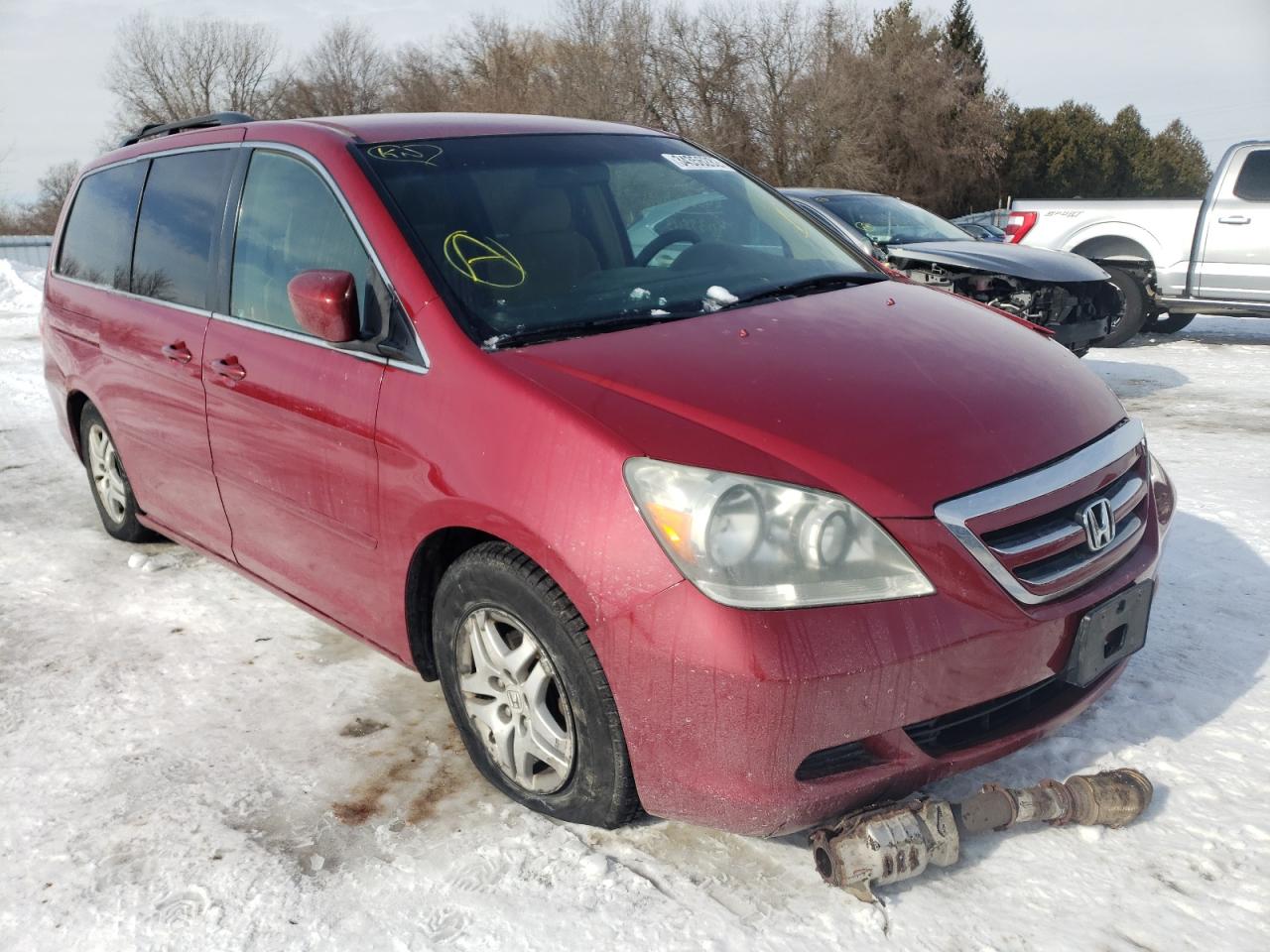 HONDA ODYSSEY EX 2005 with VIN 5FNRL38455B423740 - Photo from auction