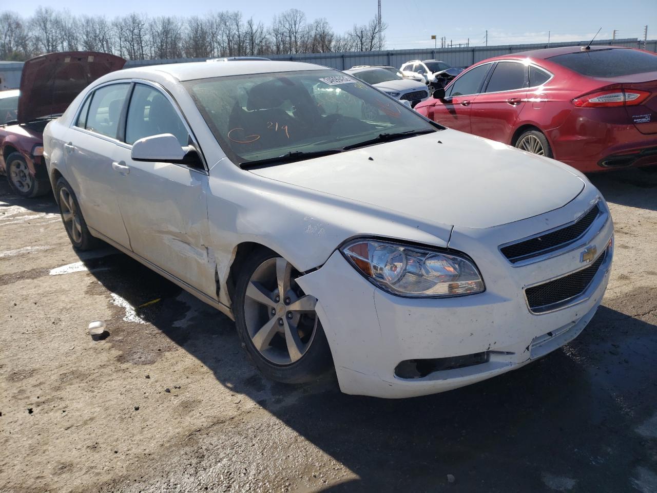 CHEVROLET MALIBU 1LT 2011 with VIN 1G1ZC5E1XBF126937 - Photo from auction