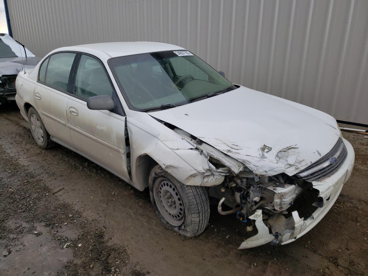 CHEVROLET MALIBU 2003 with VIN 1G1ND52J53M559031 - Photo from auction