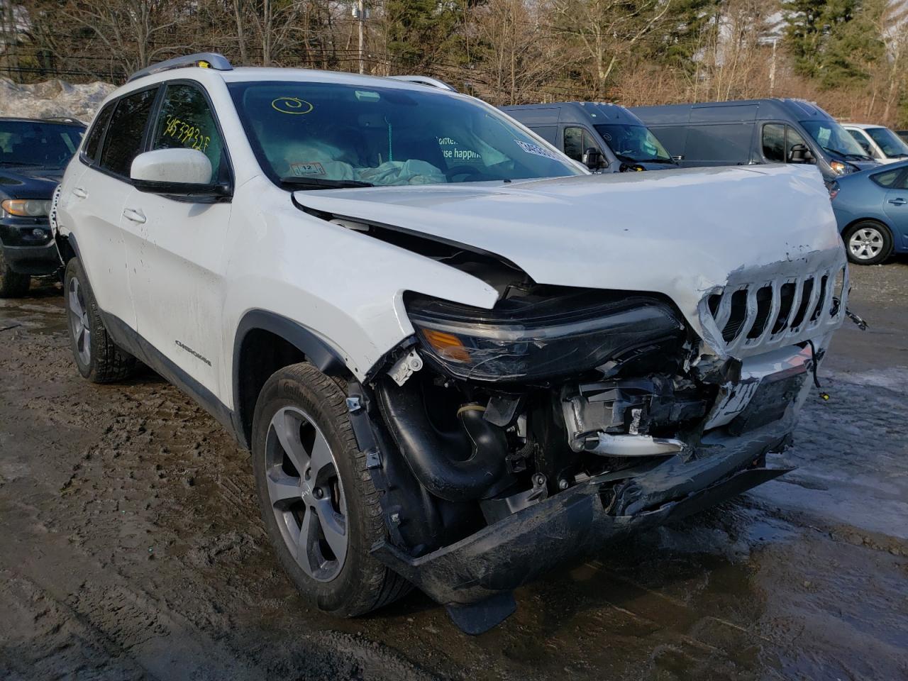 JEEP CHEROKEE L 2019 with VIN 1C4PJMDX1KD476229 - Photo from auction