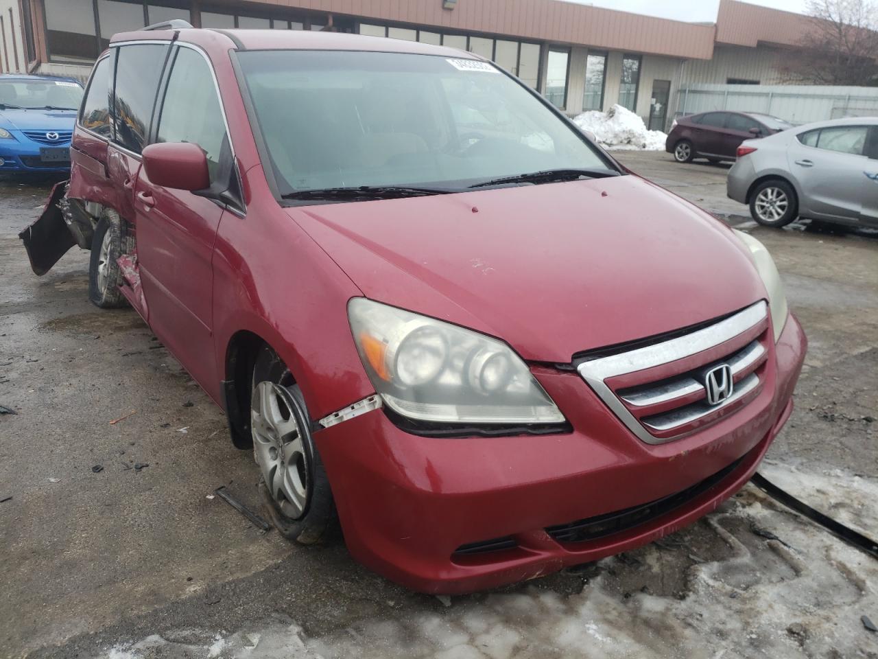 HONDA ODYSSEY EX 2005 with VIN 5FNRL38495B411994 - Photo from auction