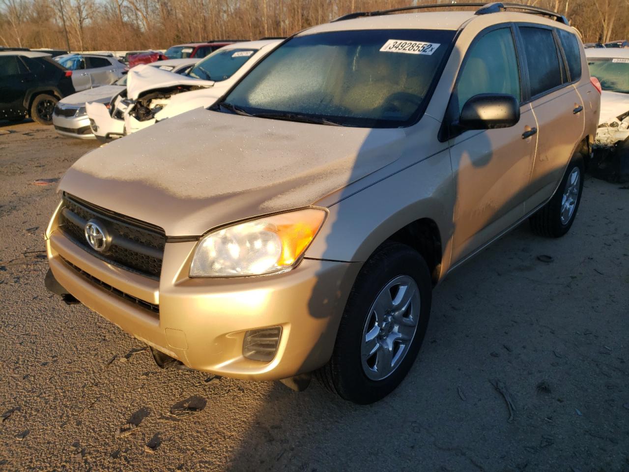 Photo 2 from auction – 2010 TOYOTA RAV4 with VIN 2T3KF4DV9AW051689