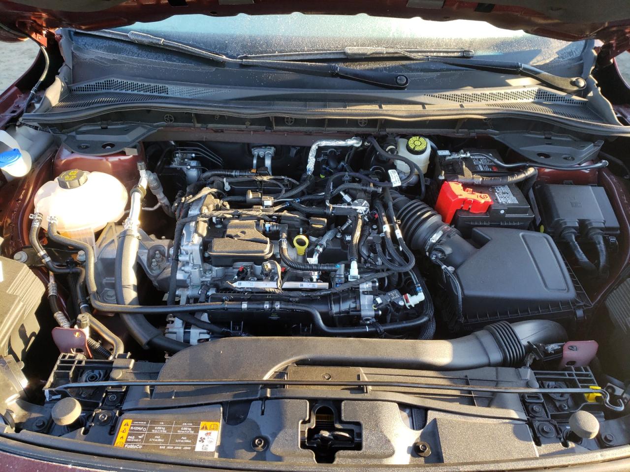 Photo 7 from auction – 2021 FORD ESCAPE SE with VIN 1FMCU0G65MUA50544