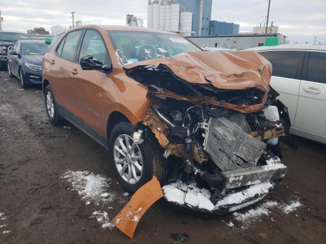 CHEVROLET EQUINOX LS 2019 with VIN 2GNAXHEVXK6243030 - Photo from auction