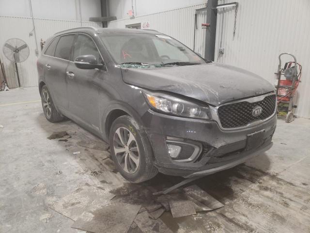 KIA SORENTO EX 2016 with VIN 5XYPHDA57GG102098 - Photo from auction