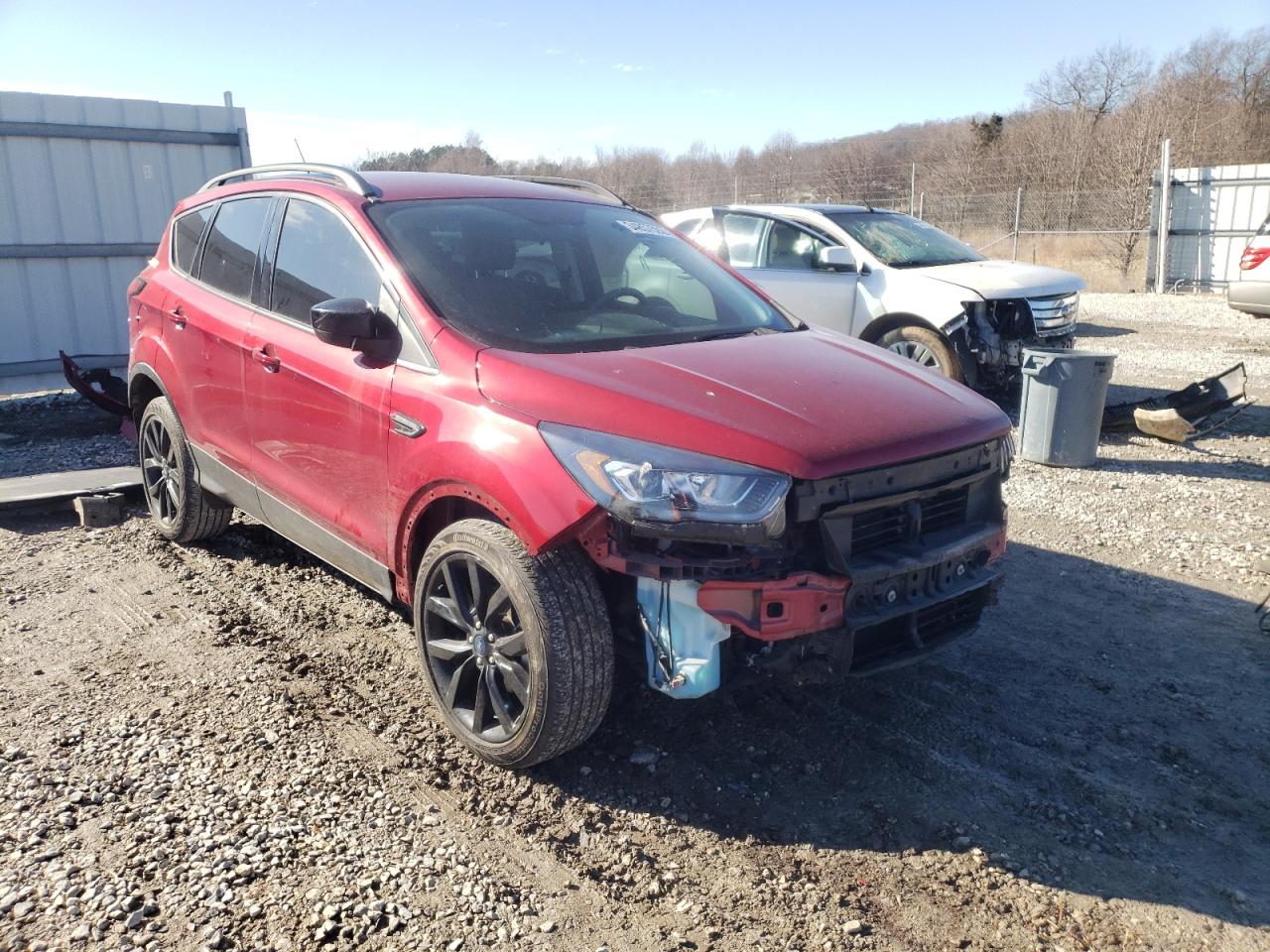 FORD ESCAPE SE 2019 with VIN 1FMCU0GD7KUB20850 - Photo from auction