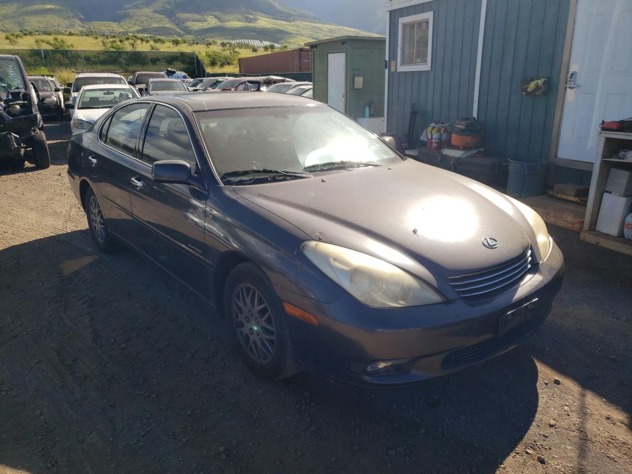 LEXUS ES 330 2004 with VIN JTHBA30G745038319 - Photo from auction